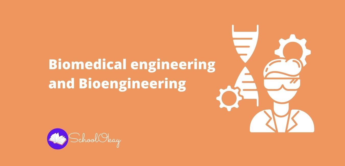 Biomedical engineering and bioengineering