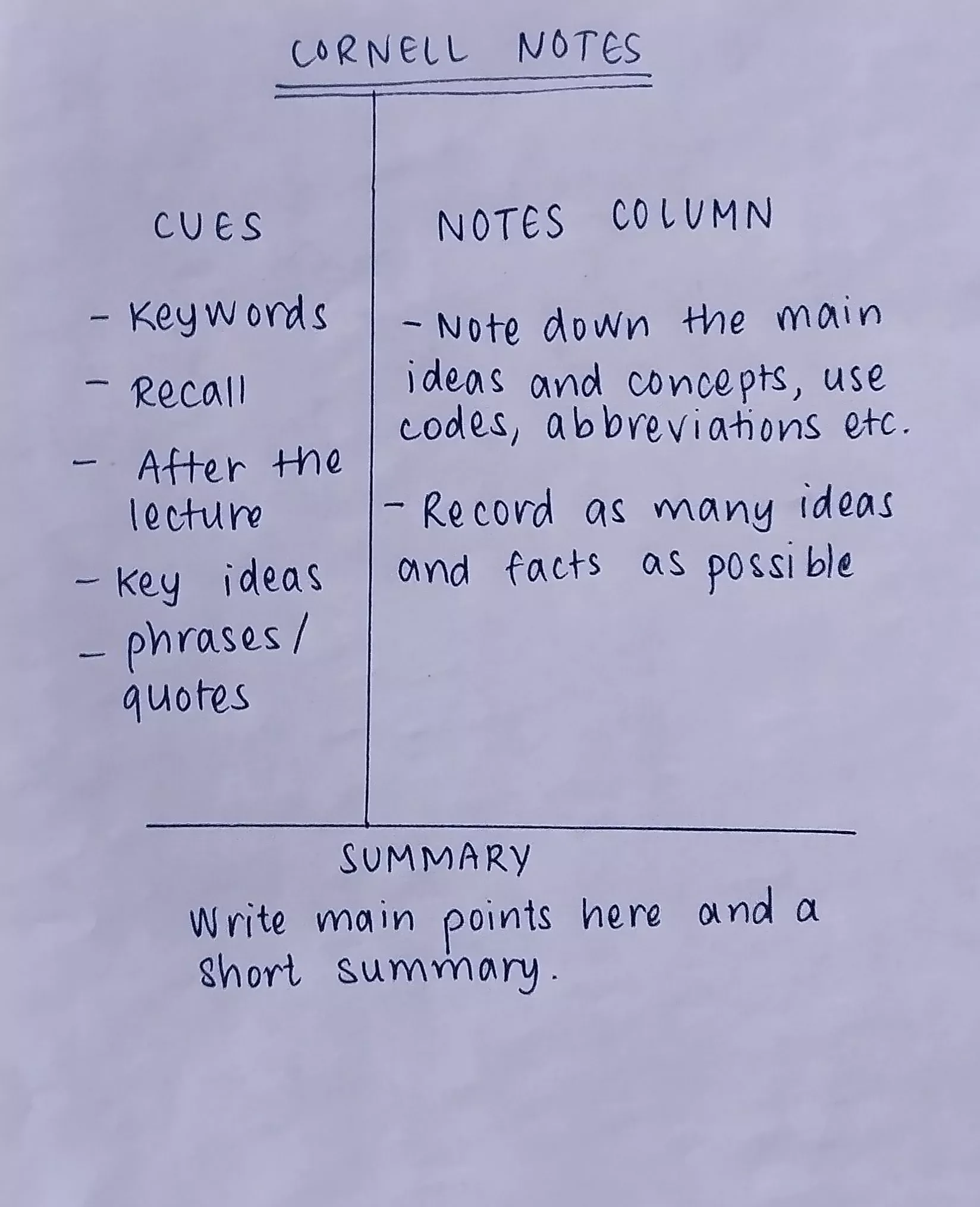 Cornell notes 