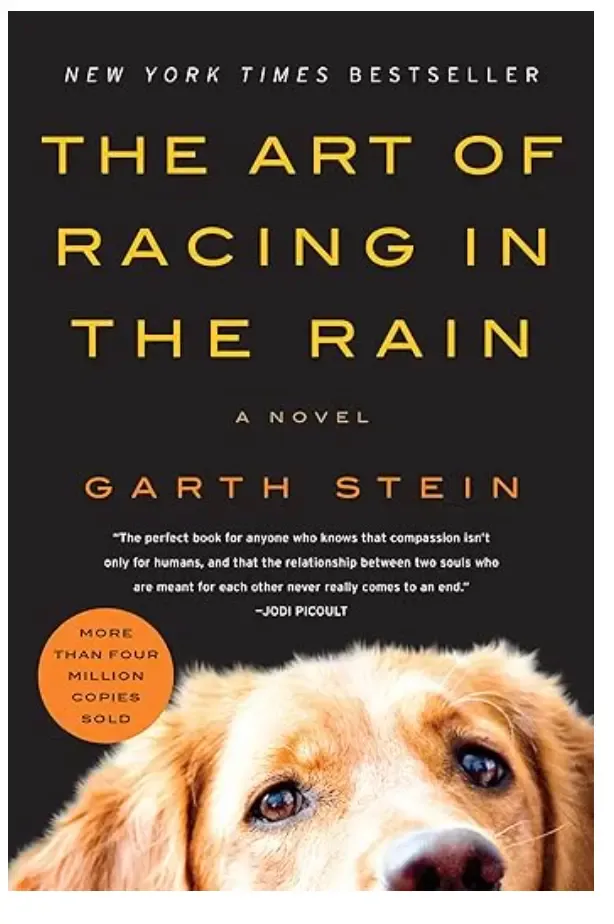 The art of racing in the rain