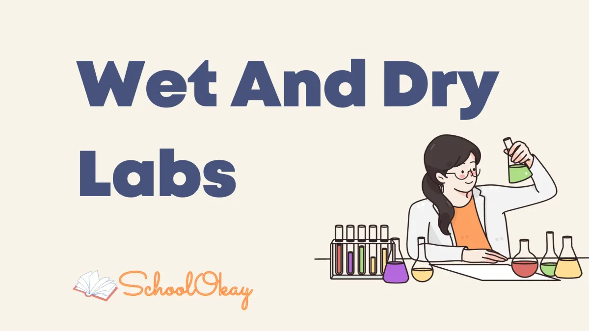 Wet And Dry Labs all you need to know