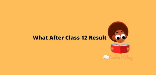 What After Class 12 Result