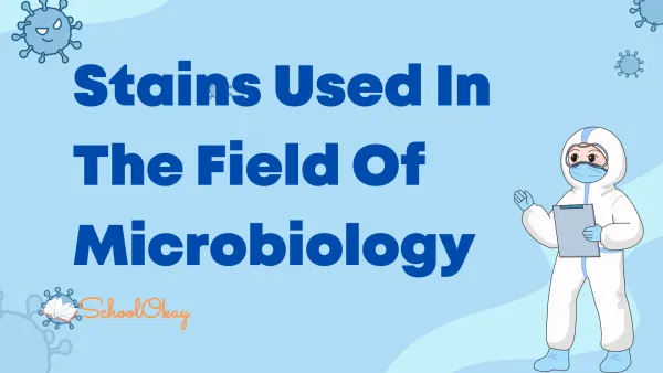 Full Forms of Stains Used In The Field Of Microbiology